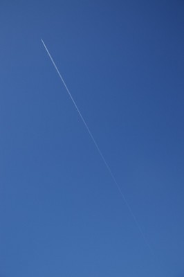 IMG_2631_resize.jpg