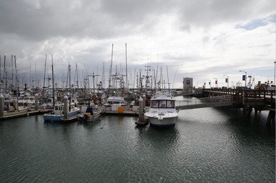 IMG_3375.jpg