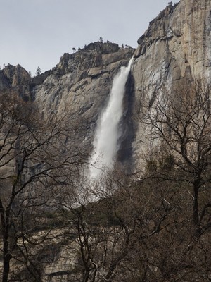 IMG_3802.jpg