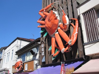 IMG_4155.JPG