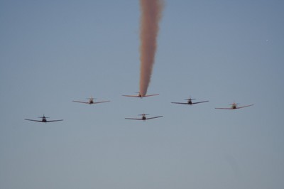 IMG_6286.jpg