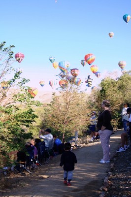 IMG_6398.jpg
