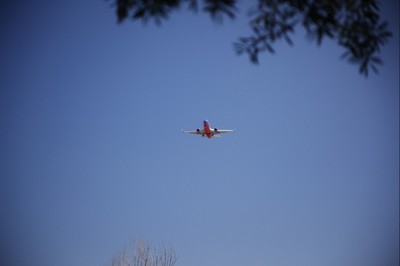 IMG_6808.jpg