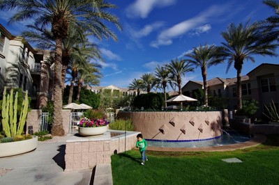 IMG_8245.jpg