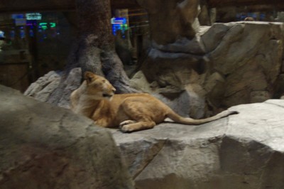P1020149.jpg